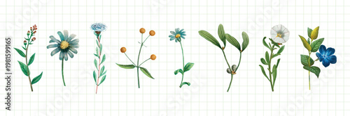 Illustration of various flowers on grid paper. Includes daisies, leaves, and blossoms. Floral elements arranged in a row on a grid background. Botanical elements, vector set.