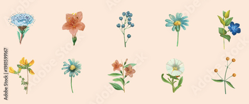 Watercolor flowers illustration with various blooms, including daisies and lilies. Delicate floral designs, perfect for botanical art lovers and nature enthusiasts. Botanical elements, vector set.