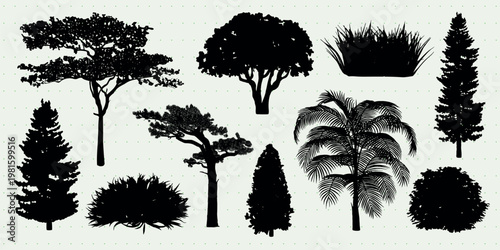 Silhouettes of various trees and bushes, including palm, pine, and deciduous trees. Diverse tree shapes and bush forms in a collection of black silhouettes. Botanical elements, vector set.