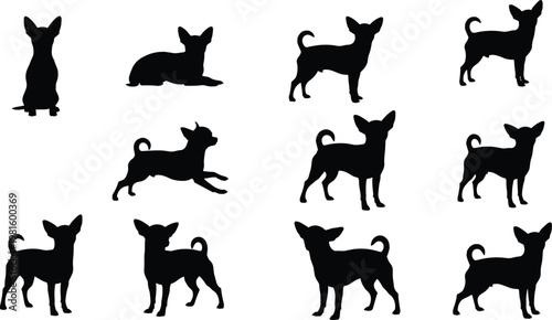 Chihuahua dog silhouette set with various poses and angles