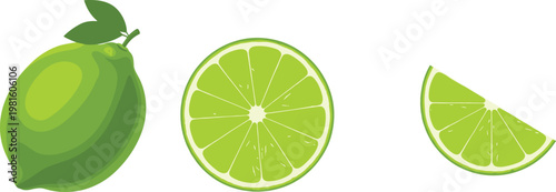 Fresh green lime set with whole fruit slice and wedge