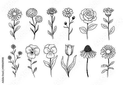 Hand-drawn black and white line collection of diverse floral and botanical flower
