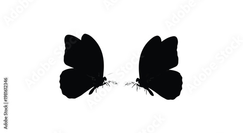 Two elegant black butterflies facing each other against a clean white background