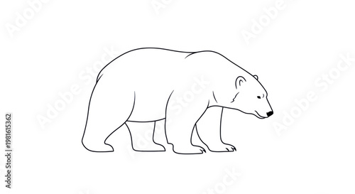 Polar Bear Outline Drawing Vector Illustration