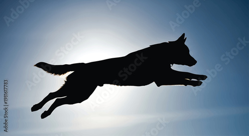 Dog Jumping Silhouette against Sunset Sky