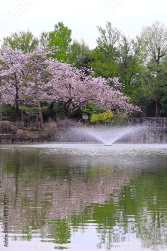 桜と噴水の公園