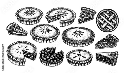 SEO Title
Vintage fruit pie and tart illustration set hand drawn bakery dessert outline vector isolated on white background