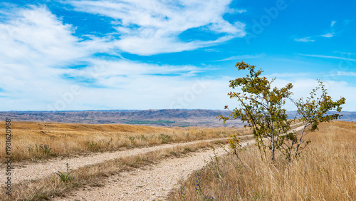 rural road central otago new zealand golden yellow fields blue sky beautiful landscape scenery