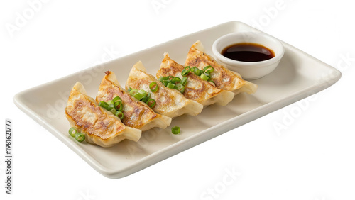Delicious Japanese Gyoza Dumplings on a Plate with Soy Sauce
