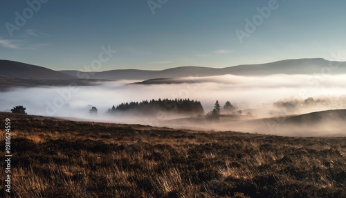 Misty Rolling Hills and Forest Landscape in Morning Light.