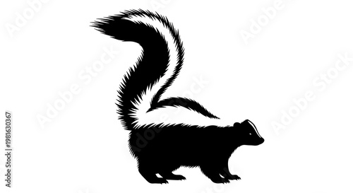 Obraz na plátně black skunk silhouette with white stripes on tail