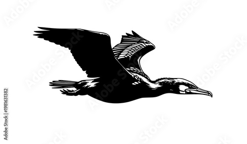 Flying bird silhouettes set with swallows doves and pigeons in realistic wing positions isolated on white background vector collection