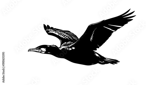 Minimal flying bird flock silhouette vector with abstract swallows doves and pigeons in modern flat design isolated on white background