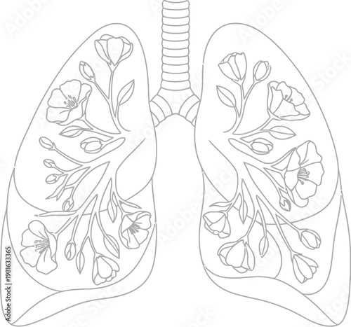 Human lungs depicted as a botanical diagram featuring delicate line art flowers growing inside the bronchial tubes for natural health
