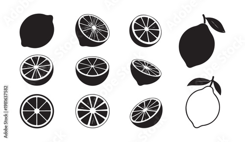 Citrus fruit silhouettes including whole lemons and cross sections for minimalist organic packaging labels.