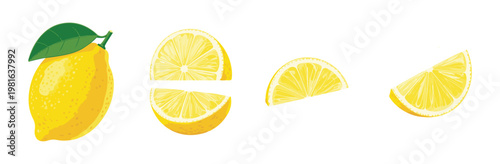 Juicy yellow lemon whole sliced and in wedges with green leaf.