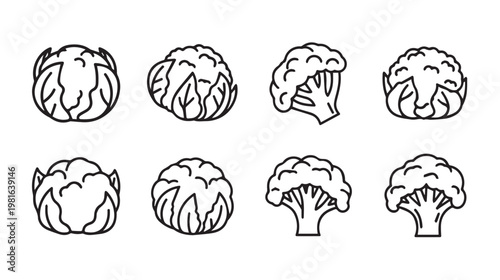 Cauliflower and Broccoli Line Art Icons Set Simple Vegetable Illustrations for Design