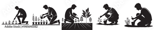 vector young man planting plant silhouette