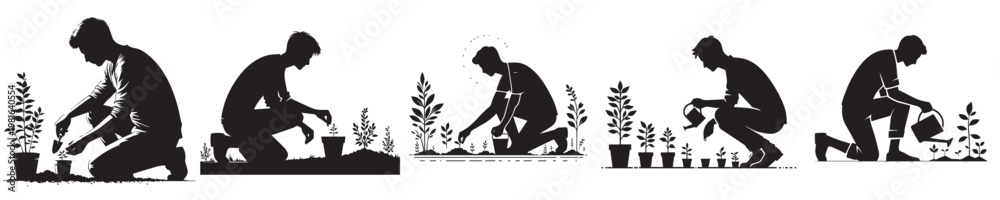 Fototapeta premium vector young man planting plant silhouette