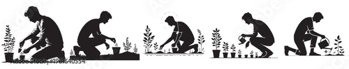 vector young man planting plant silhouette