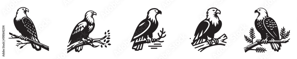 Fototapeta premium silhouette style eagle vector perched on a branch
