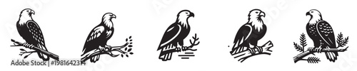 silhouette style eagle vector perched on a branch