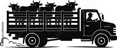 Livestock truck carrying cows with a driver moving away from a market farm animal road transport livestock transport agriculture commercial logistics shipping distribution