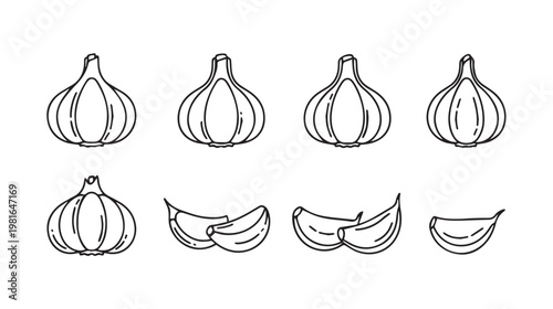 Garlic Bulbs and Cloves Line Art Illustration