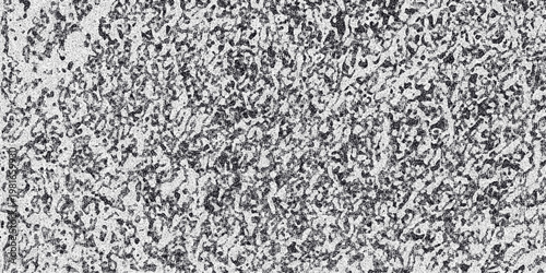 Detailed monochrome textured surface with a dense, irregular, and organic pattern of small dark shapes against a lighter grainy background, ideal for abstract backgrounds