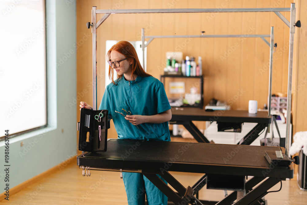 Fototapeta premium Professional groomer preparing quality tools for pet care