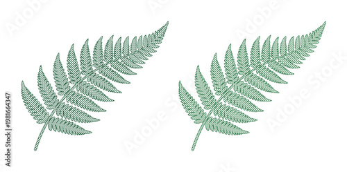 Minimalist green fern leaf vector illustration, botanical silver fern frond set, elegant tropical foliage elements for wedding stationery and nature branding