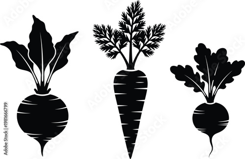 Black silhouette of a carrot and two beets with leafy tops on white background beet silhouette carrot silhouette