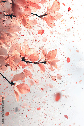 Abstract floral composition with dripping pink watercolor