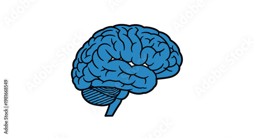 Illustration of a human brain in blue on a white background, representing intellect