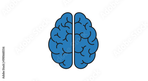 Illustration of a Human Brain's Two Hemispheres in Blue Against a White Background