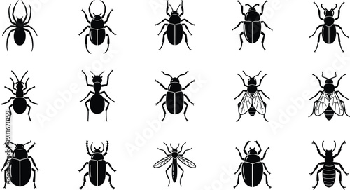 Collection of black insect silhouettes including spider ant beetle fly and mosquito