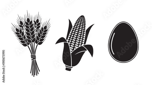 Black Silhouettes of Wheat, Corn, and Egg on White Background For Food, Agriculture, and Nutrition Concepts