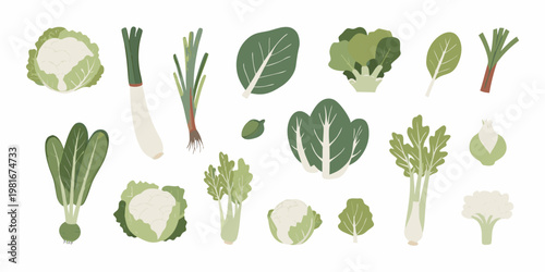 A collection of fresh green vegetables including cabbage leeks and leafy greens