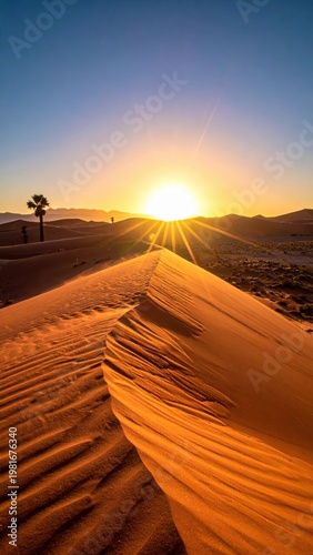 Stunning Desert Sunset with Silhouette of Palm Tree and Dunes