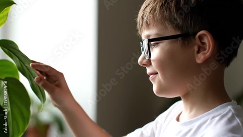 Wallpaper Mural Curious Young Boy with Glasses Gently Touching and Examining a Green Houseplant Leaf with a Smile in a Bright Room Torontodigital.ca