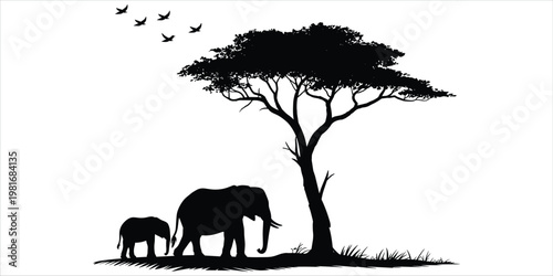 Photography African Savanna Landscape Silhouette With Elephants Under Acacia Tree And Birds