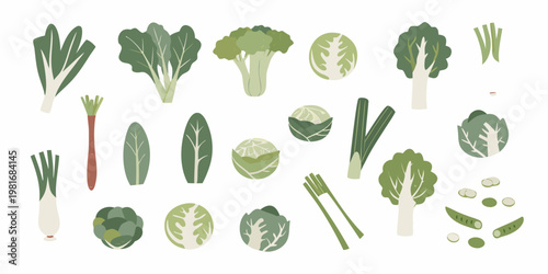 Variety of fresh green vegetables arranged in a colorful flat illustration