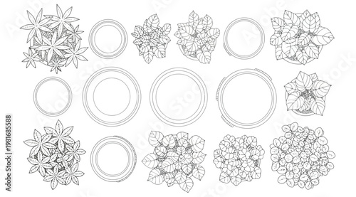 Foto "Top View Vector Plant and Pot Collection in Black and White Line Art Style Feat