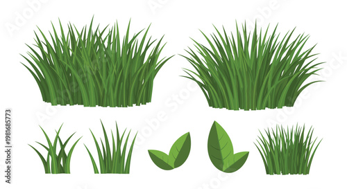 Various styles of green grass tufts and individual leaves shown as separate elements for landscape design or botanical illustrations.