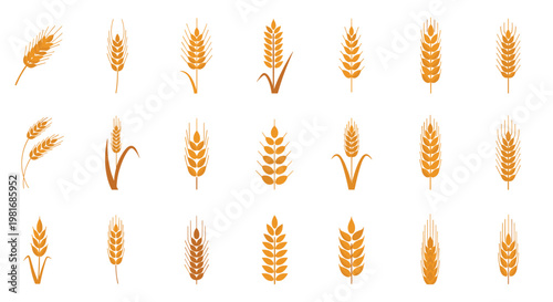 Various silhouettes and detailed illustrations of golden wheat stalks and ears of grain for agricultural and organic food branding.