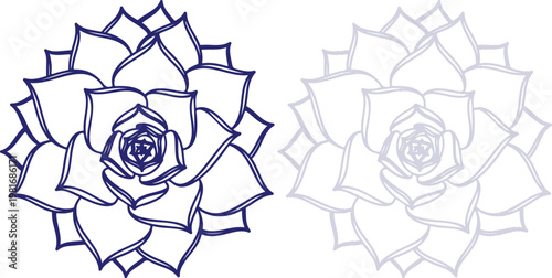 Succulent Plant Line Art Illustration in Dark Blue and Light Grey Outline Style