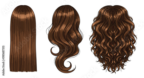 Rear view comparison of three female hairstyles featuring long straight hair, flowing wavy hair, and voluminous curly brown hair.