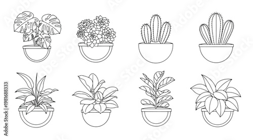 A set of eight black and white line drawings of potted plants including succulents and cacti