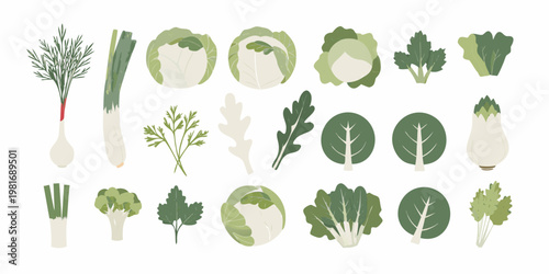 Variety of fresh green vegetables arranged in a flat lay composition