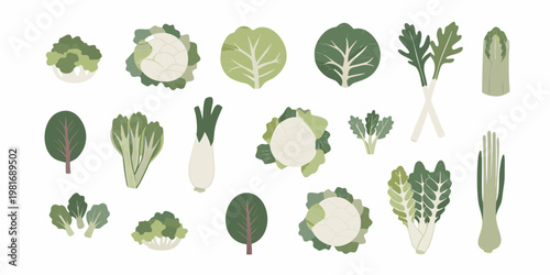 Variety of fresh green leafy vegetables in a flat illustrative style